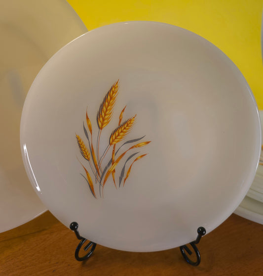 Fire King Wheat Pattern Milk Glass Plates
